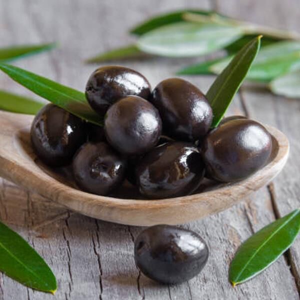 Akhisar Uslu Zeytin Fidanı, Sofralık Siyah ve Yağlık
