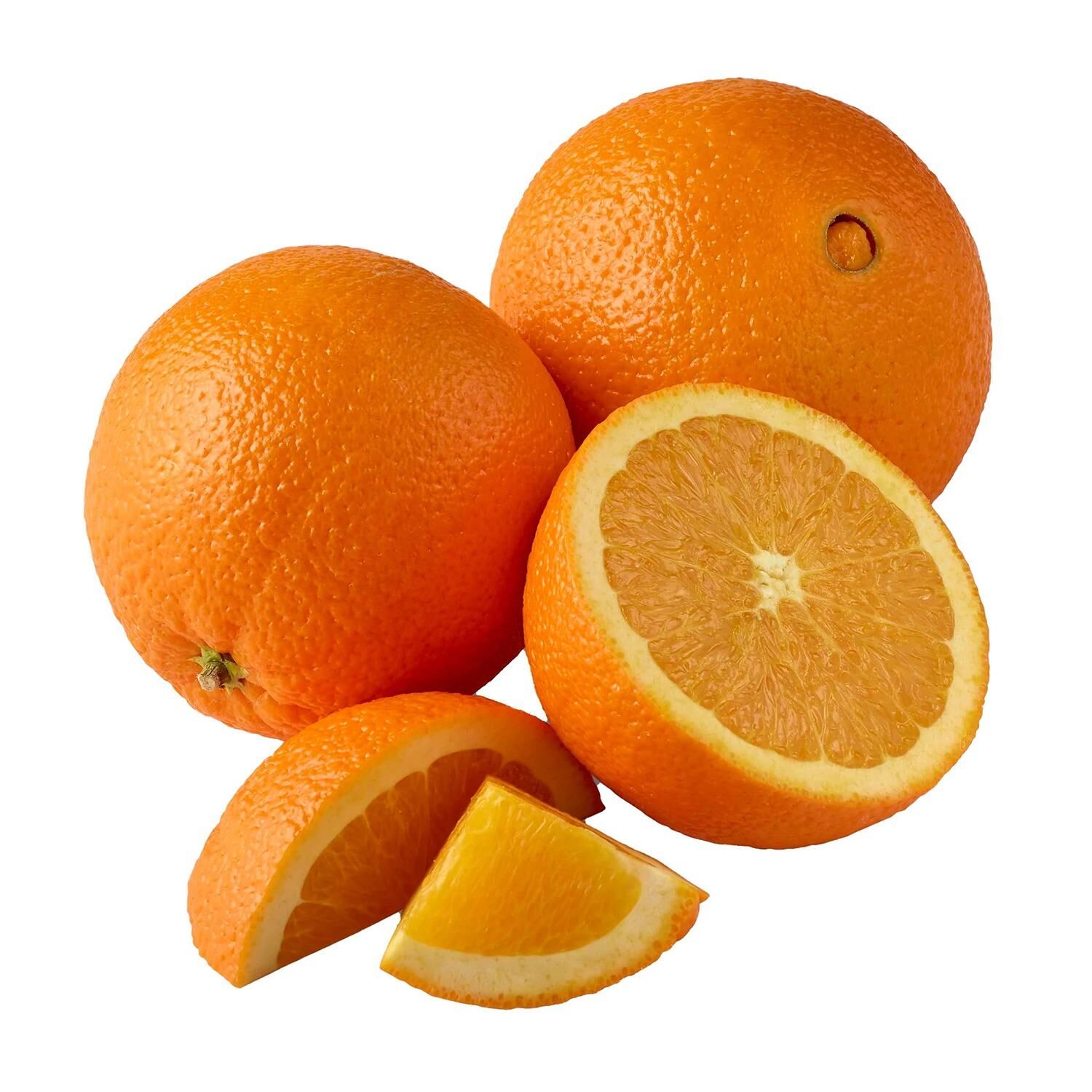 Meyve Verir Durumda Bodur Tipte Washıngton Portakal Fidanı (Tüplü)