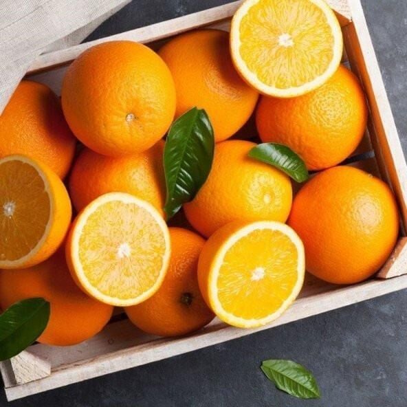 Yarı Bodur Tüplü Washıngton Portakal Fidanı