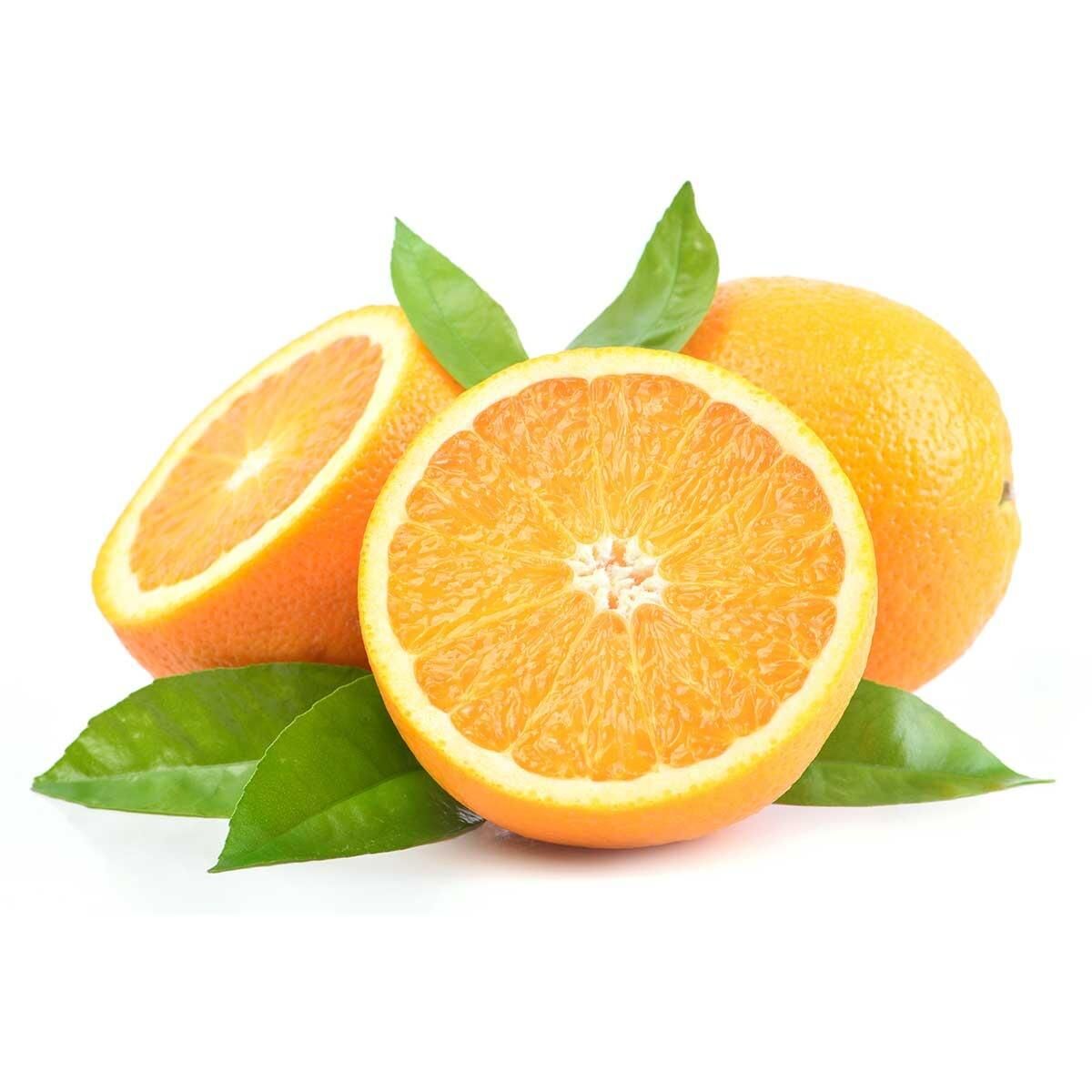 Tüplü 3 Yaş Washington Portakal Fidanı