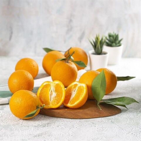 Valencia Portakal Fidanı (Tüplü, Meyve Verir Durumda)