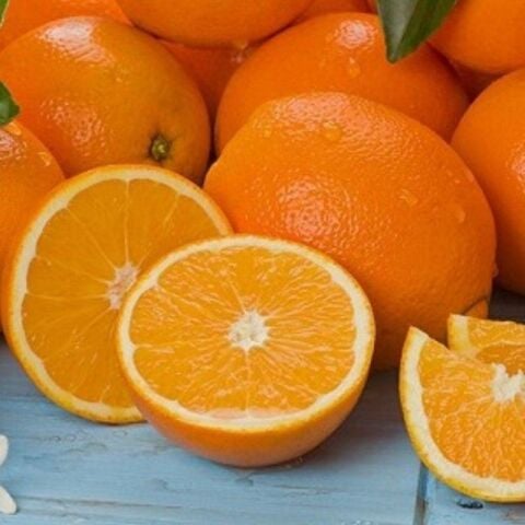 3 Yaş Rize Portakalı Fidanı, Tüplü, Meyve Verir Durumda