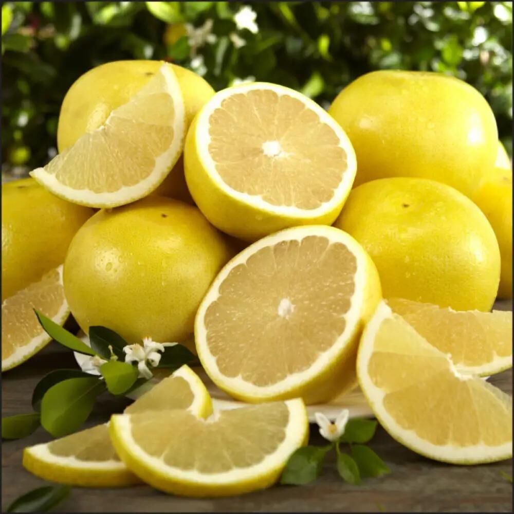 Sarı Mars Grefurt Fidanı Özellikleri (Tüplü)