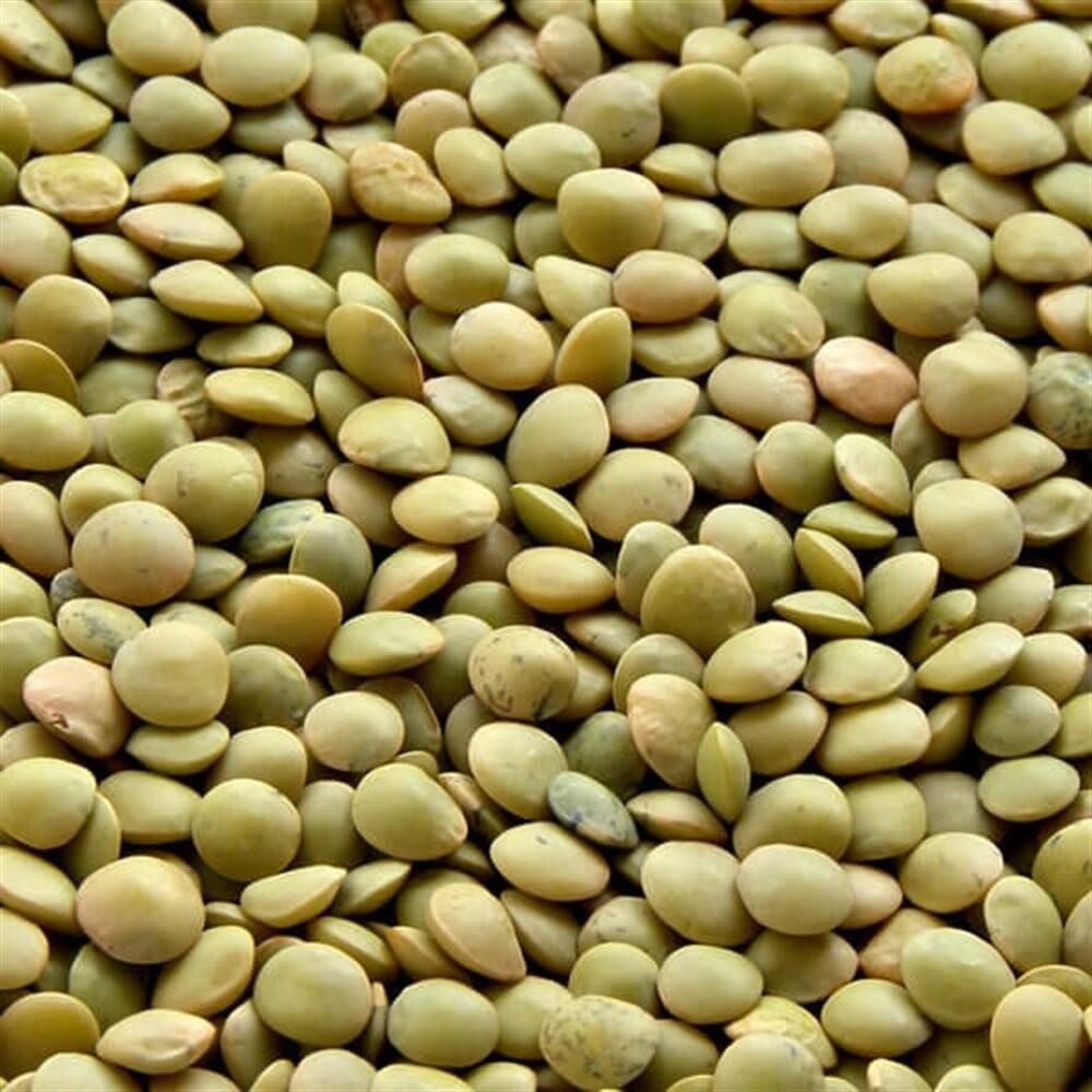 Doğal Yeşil Mercimek Tohumu (20 Tohum)