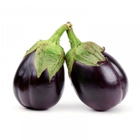 Topan Patlıcan Tohumu 25 gr Paket