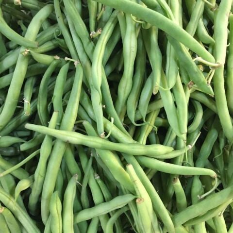 Kılçıksız Börülce Tohumu 50 gr Paket