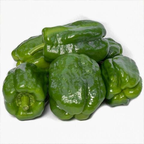 Antep Acı Dolma Biber Tohumu  25 gr Paket