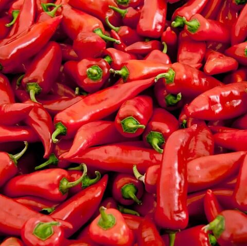 Yağlık Biber Tohumu  25 gr Paket