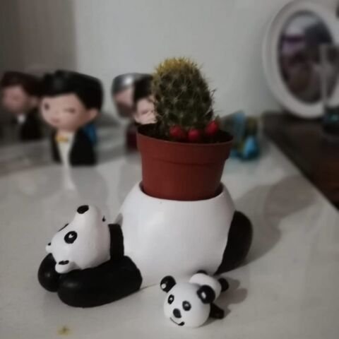 PANDA Saksı EL Yapımı (5.5 cm Kaktüs Sukkulentlere Uygun)