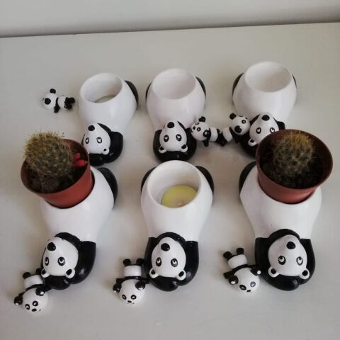PANDA Saksı EL Yapımı (5.5 cm Kaktüs Sukkulentlere Uygun)