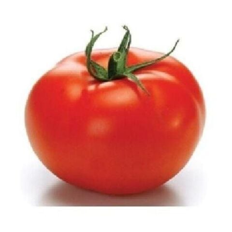 Sc2121 Domates Tohumu (20 tohum)