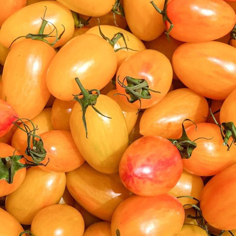 Cherry Kahvaltılık Domates Tohumu (15 tohum)