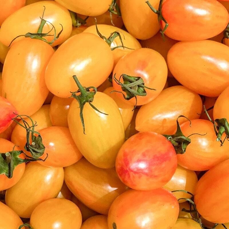 Cherry Kahvaltılık Domates Tohumu (15 tohum)