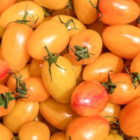 Cherry Kahvaltılık Domates Tohumu (15 tohum)