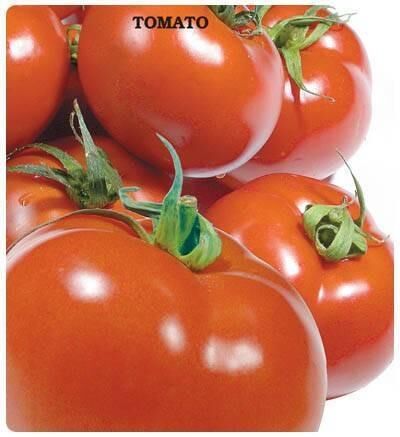 SC-2121 Domates Tohumu (2 gram)