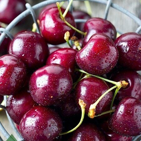 6 Yaş Aşılı Kiraz Fidanı LAMBERT, Saksıda