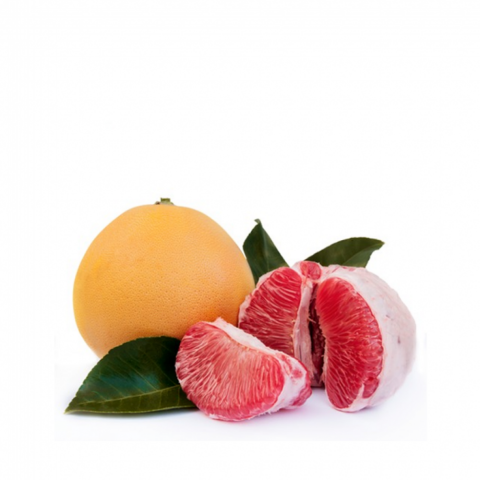 4 Yaş Aşılı Ağaç Kavunu Fidanı, Tüplü