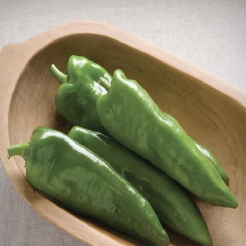 Doğal Tatlı Közlemelik Pat Biber Tohumu (20 Adet)