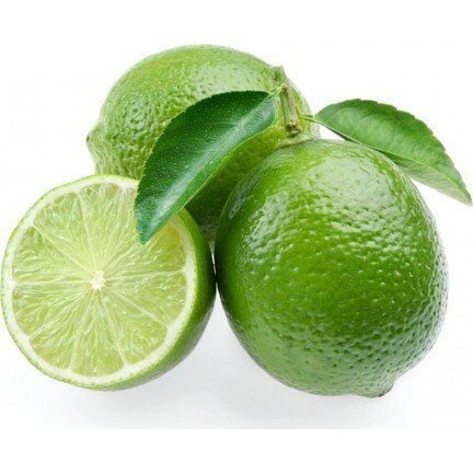 3 Yaş Aşılı Meksika Misket Limon Fidanı, Torbada