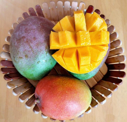 3 Yaş Aşılı Keitt Mango Fidanı,Torbada