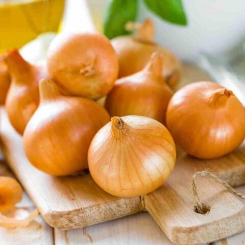 Bankon Soğan Tohumu (2 gram)