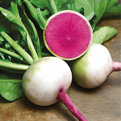 Dışı Beyaz İçi Kırmızı Çin Turpu (Karpuz Turpu) Tohumu (3 gram)