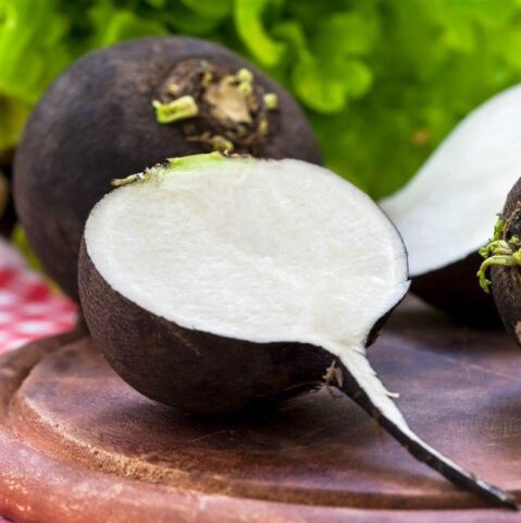 Siyah Turp Tohumu (600 tohum)