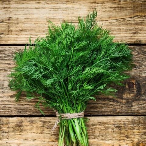 Doğal Dere Otu Tohumu (100 tohum)