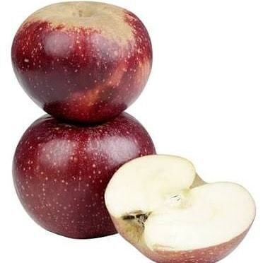 5 Yaş, Aşılı Elma Fidanı ARAP KIZI, Torbada , +130cm