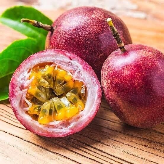 İri Taneli Mor Pasiflora Edulis (Alp1071), Saksıda, (Meyve Vericek Yaşta)