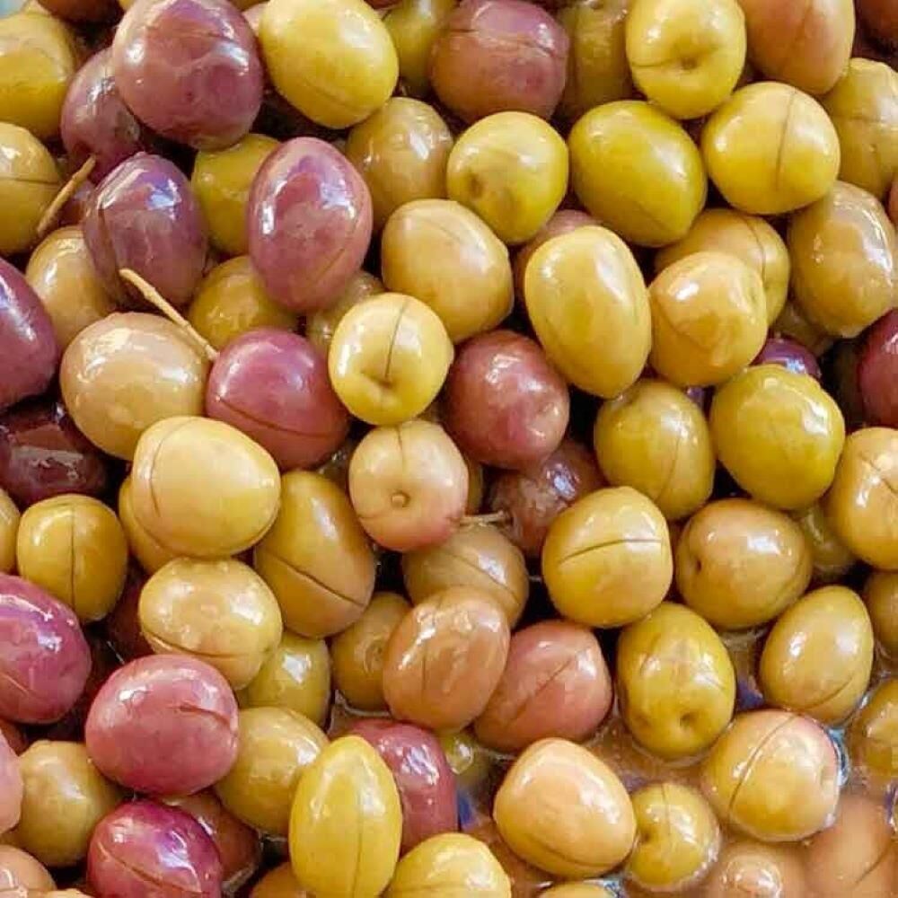 Sıkımlık ve Sofralık Tüplü İzmir Çizik Zeytini Fidanı