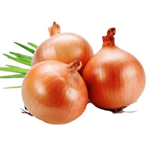 Soğan Tohumu 5 gr Paket