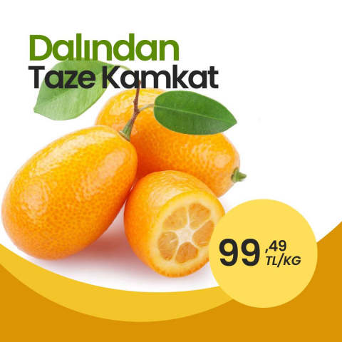 1 KG Dalından Taze Kamkat Meyvesi