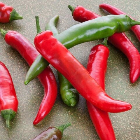 5 Adet Çok Acı Hatay Samandağ Biber Fidesi