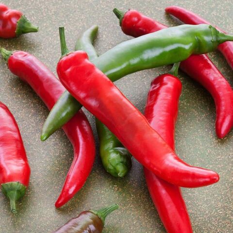 5 Adet Çok Acı Hatay Samandağ Biber Fidesi