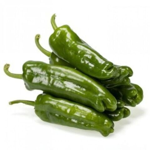 Tatlı Köy Biberi 5 Adet Üçburun Biberi Fidesi