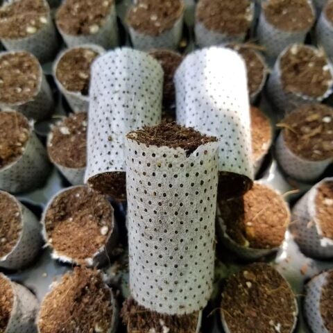 Tohum Ve Çelik Çimlendirme, Köklendirme Toprağı Paper Pot(50 Adet)